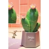 TUFEYO Led Işıklı Kaktüs Biblo Ev Dekorasyon ve Hediyelik Eşya Led Aydınlatma