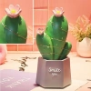 TUFEYO Led Işıklı Kaktüs Biblo Ev Dekorasyon ve Hediyelik Eşya Led Aydınlatma