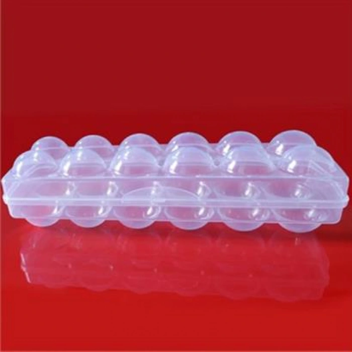 TUFEYO 12li Şeffaf Kapaklı Kilitli Yumurta Saklama Kabı Kutusu Aparatı