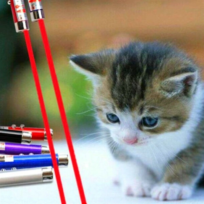 TUFEYO  3 Fonksiyonlu Kırmızı Beyaz Işıklı Led Lazer Kedi Köpek Oyuncak Anahtarlık