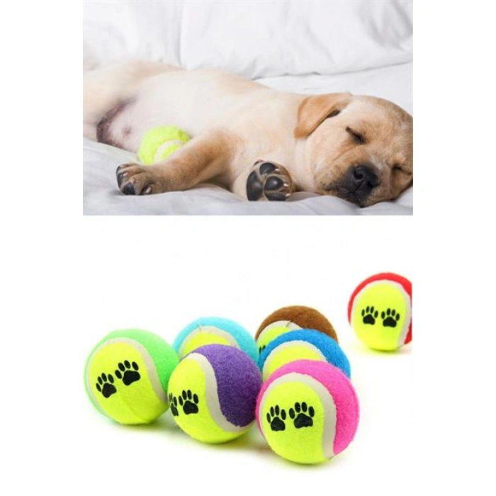TUFEYO  3lü Renkli Desenli Tenis Topu Kedi Köpek Oyuncağı