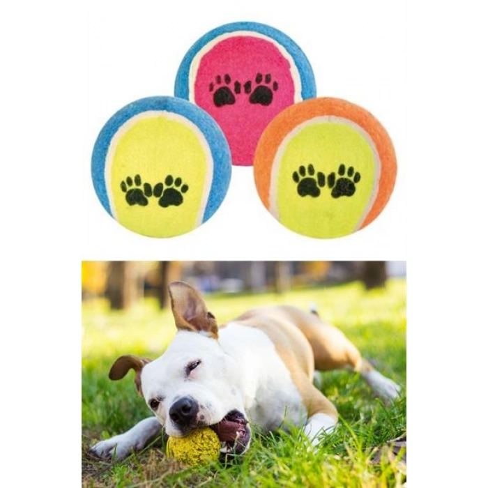 TUFEYO  3lü Renkli Desenli Tenis Topu Kedi Köpek Oyuncağı