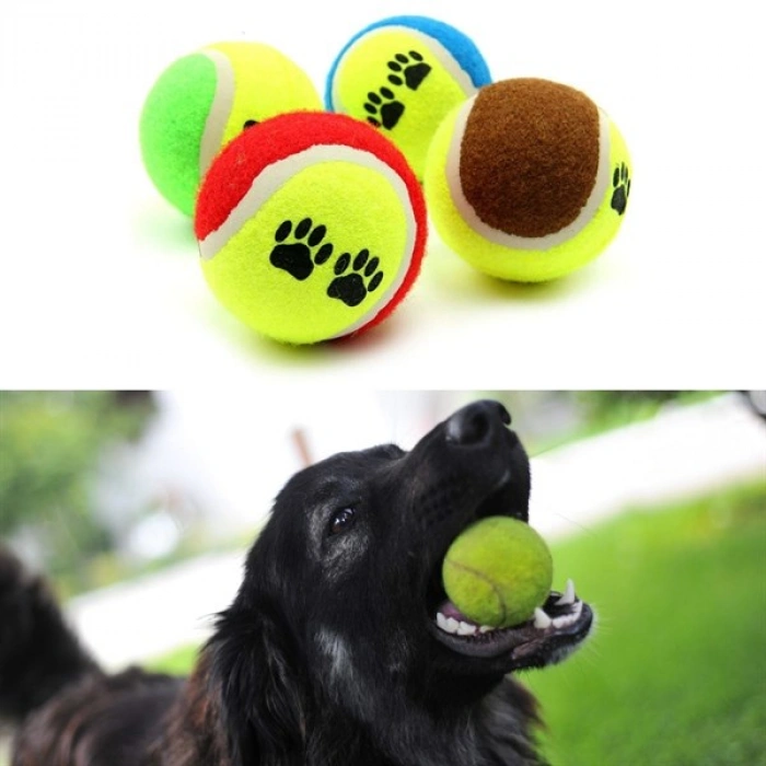 TUFEYO  3lü Renkli Desenli Tenis Topu Kedi Köpek Oyuncağı