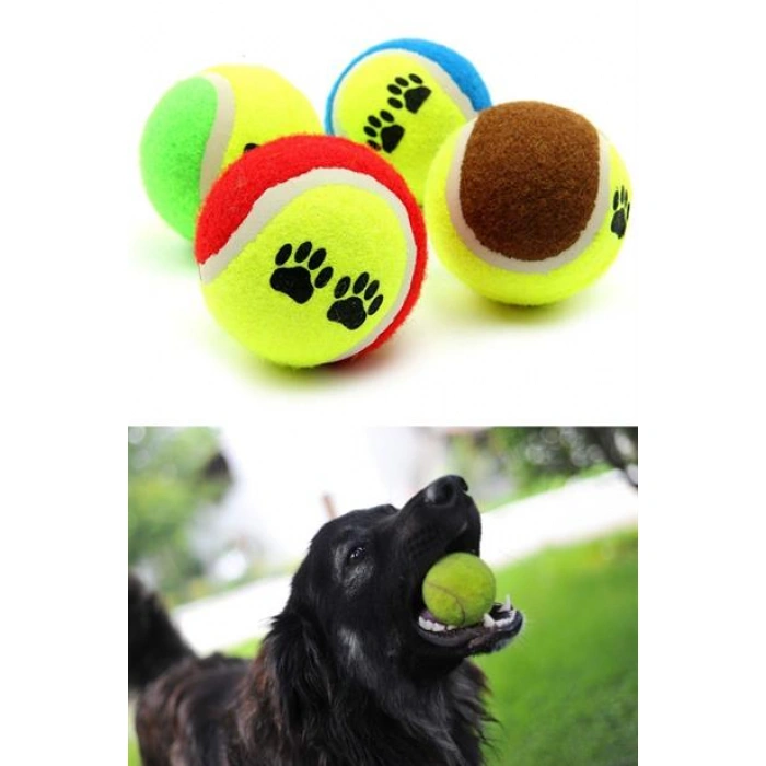 TUFEYO  3lü Renkli Desenli Tenis Topu Kedi Köpek Oyuncağı