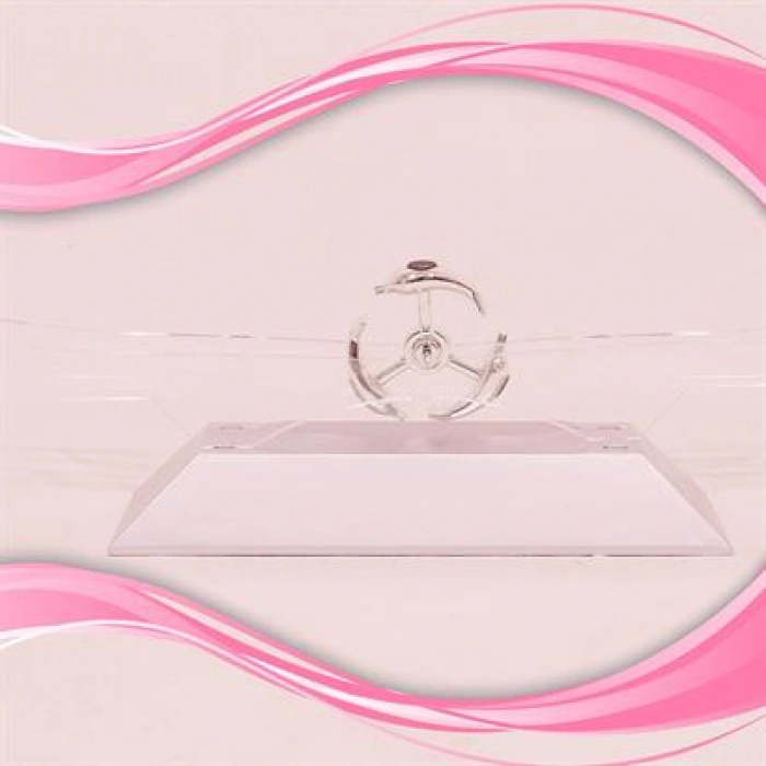 TUFEYO Dekoratif Masa Üstü Obje Manyetik Kinetik Orbital Dönen Yunuslar