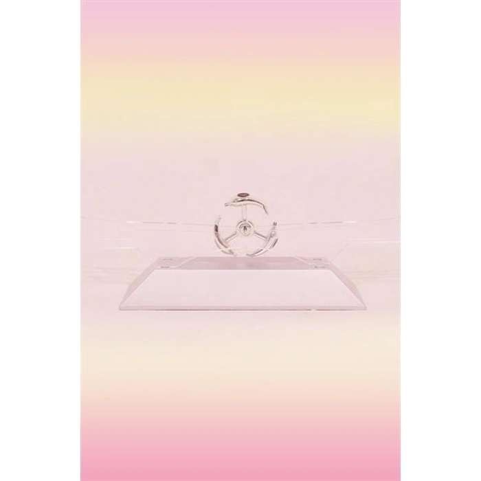 TUFEYO Dekoratif Masa Üstü Obje Manyetik Kinetik Orbital Dönen Yunuslar