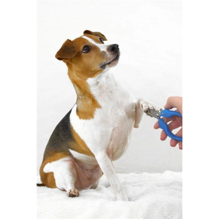 TUFEYO Evcil Hayvan Kedi ve Köpek Paslanmaz Çelik Yaylı Tırnak Makası ve Düzeltme