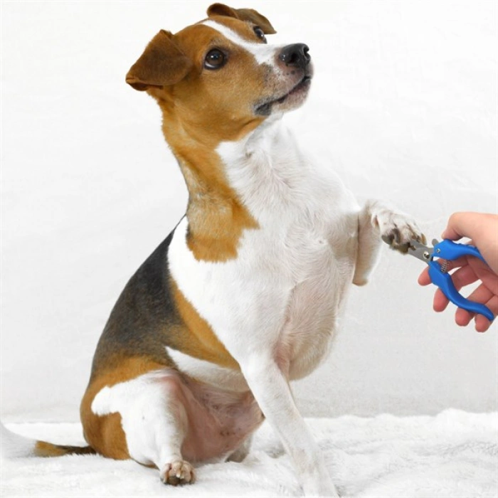 TUFEYO Evcil Hayvan Kedi ve Köpek Paslanmaz Çelik Yaylı Tırnak Makası ve Düzeltme