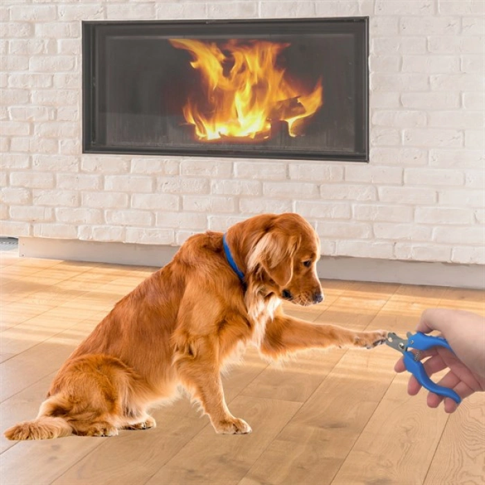 TUFEYO Evcil Hayvan Kedi ve Köpek Paslanmaz Çelik Yaylı Tırnak Makası ve Düzeltme