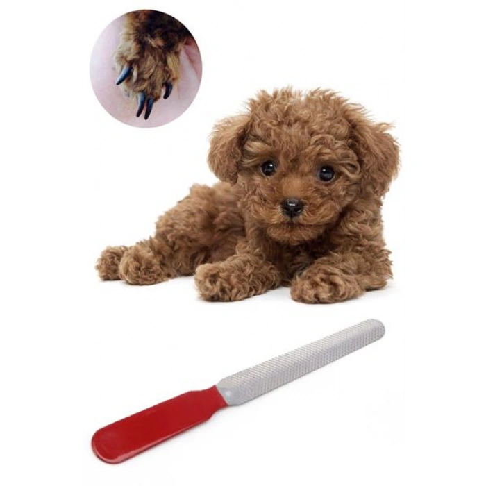 TUFEYO Evcil Hayvan Tırnak Makası Ve Törpü Seti Manikür Pedikür Pati Bakım Aleti Kaymaz Sap