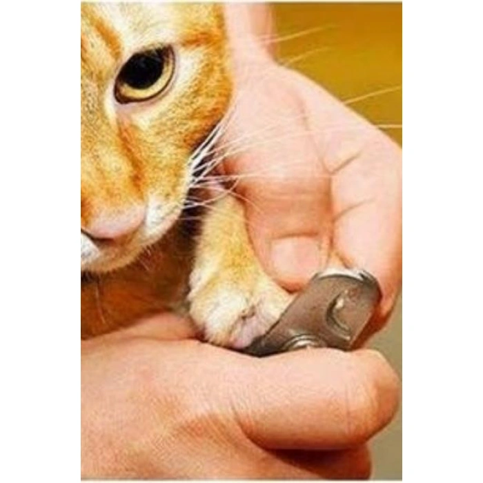 TUFEYO Evcil Hayvan Tırnak Makası Ve Törpü Seti Manikür Pedikür Pati Bakım Aleti Kaymaz Sap