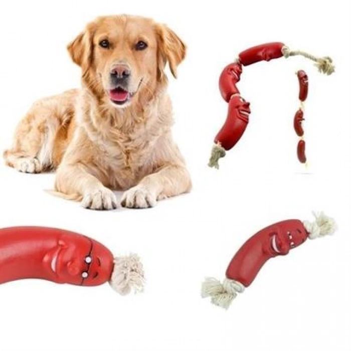 TUFEYO Evcil Hayvanlar İçin Eğitici 4 Adet Sevimli Oyuncak Sosis