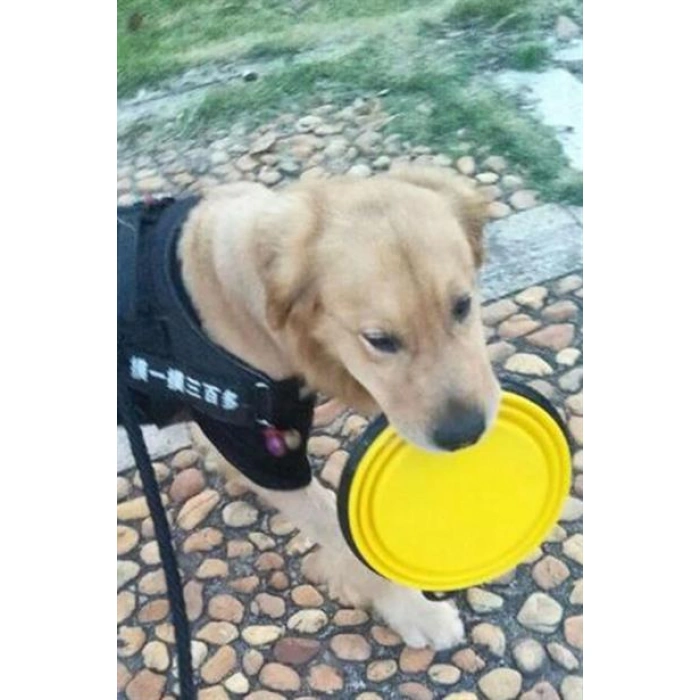 TUFEYO Katlanabilir Kedi Köpek Mama ve Su Kabı Köpek Oyuncağı