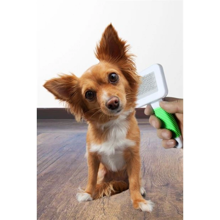 TUFEYO Kedi Köpek Telli Küçük Boy Tüy Bakım Seti Evcil Hayvan Tarama Fırçası