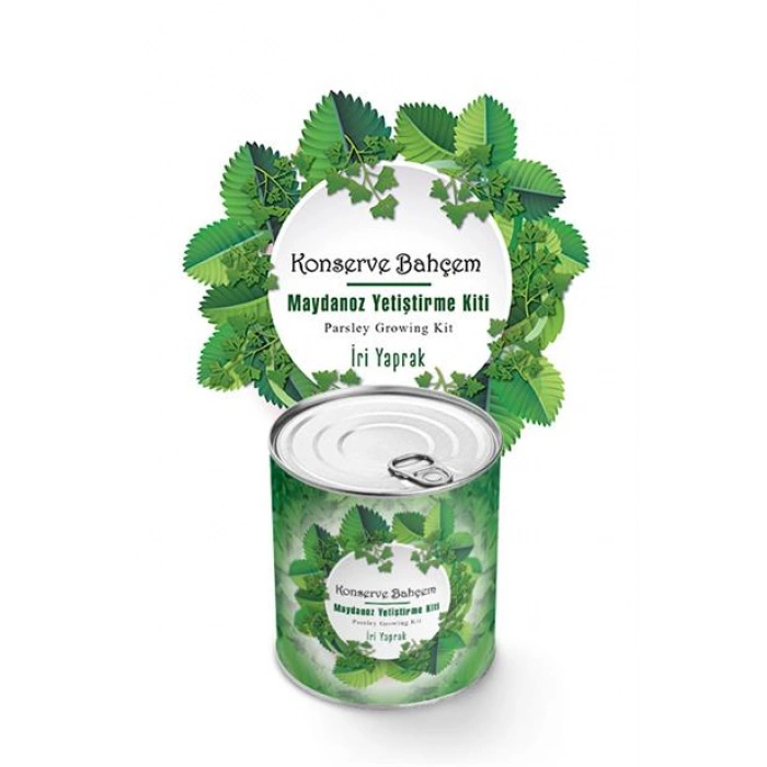 TUFEYO Konserve Bahçem Evde Konservede İri Maydanoz Yetiştirme Kiti