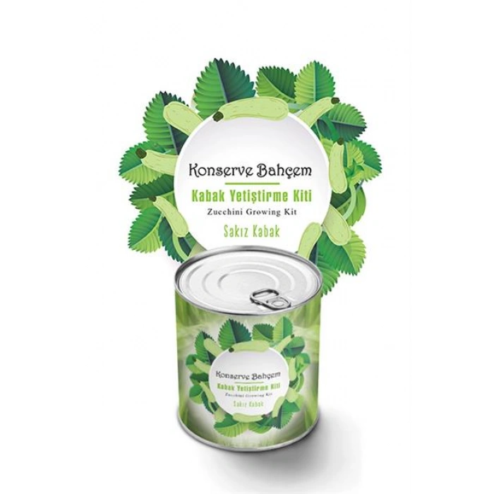 TUFEYO Konserve Bahçem Evde Konservede Sakız Kabak Yetiştirme Kiti