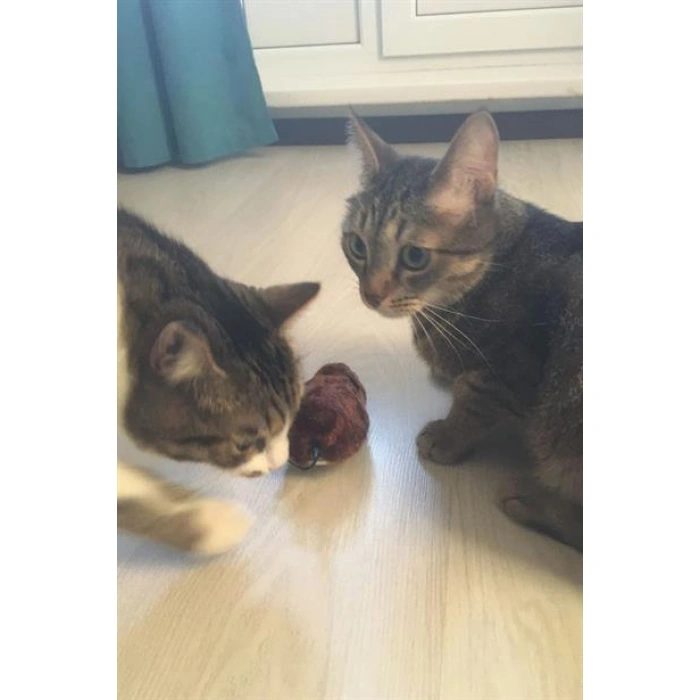 TUFEYO Kurmalı Kedi Eğitim Oyuncağı Tüylü Peluş Fare Yakalama İnteraktif Sevimli Eğlenceli Oyuncak