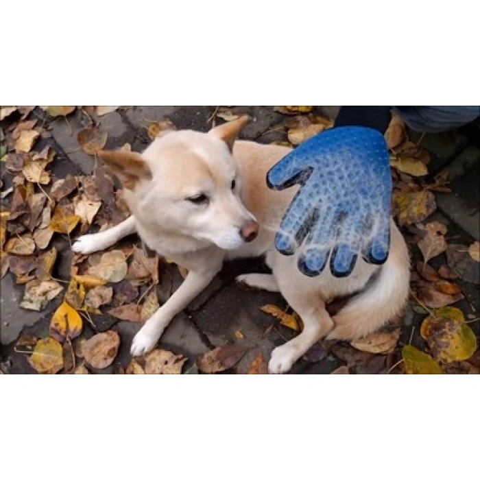 TUFEYO Tüy Toplayan Kedi Temizleme Eldiveni Tüy Toplama Eldiveni