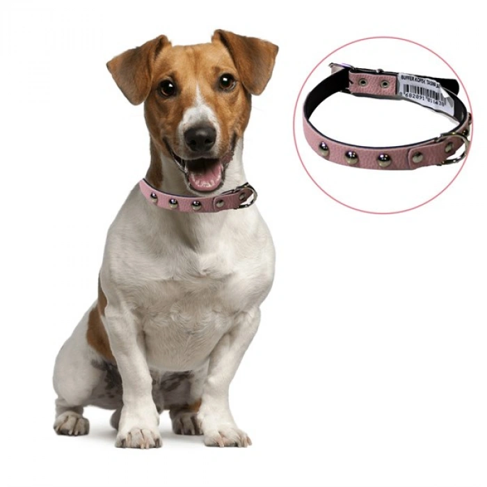 TUFEYO Yumuşak Dokulu Deri Köpek Gezdirme Boyun Tasması Medium