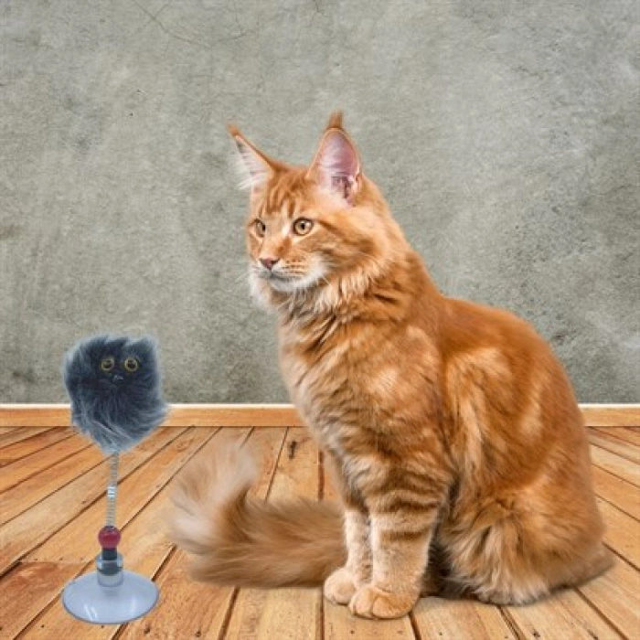 TUFEYO Zıp Zıp  Tüylü Yaylı Serbest Hareket Eden Rengarenk Sevimli Evcil Hayvan Oyuncağı