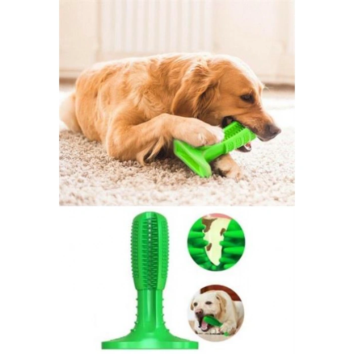 TUFEYO Köpek Diş Temizleyici ve Kaşıyıcı Sağlıklı Küçük Boy Oyuncak