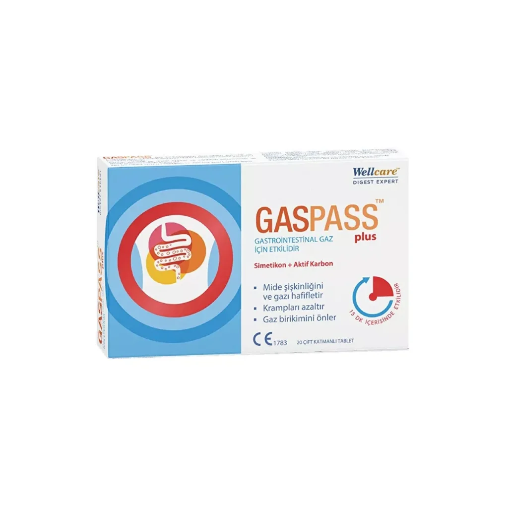Wellcare Gaspass Plus 20 Tablet