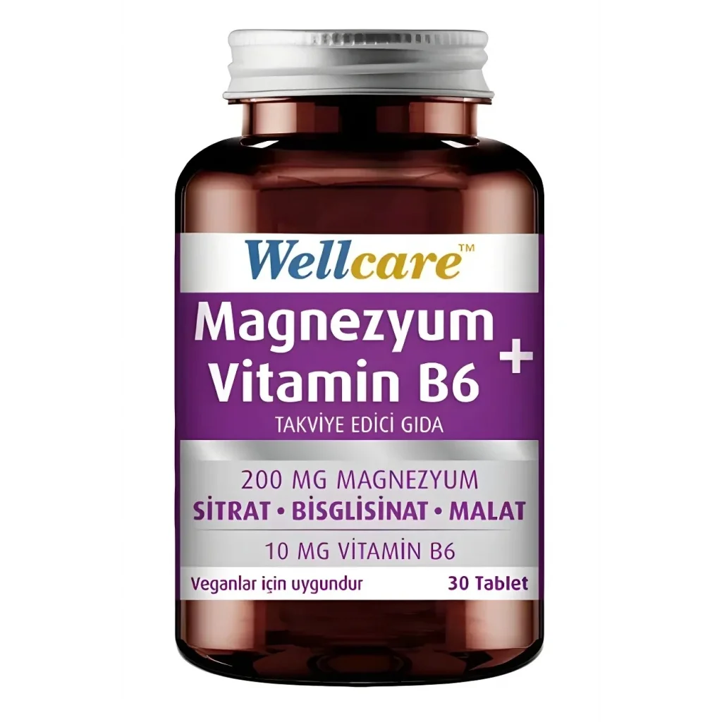 Wellcare Magnezyum + Vitamin B6 30 Tablet