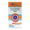 Dnz Glucosamine Chondroitin MSM 60 Tablet