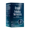 Ocean Tribulus Terrestris 60 Kapsül