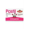 Otacı Ekinezya Pastil 16 Adet