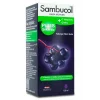 Sambucol Plus Sekersiz Takviye Edici Gida 120 ml