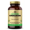 Solgar Cinnamon 100 Kapsül