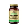 Solgar Echinacea 520 mg 100 Kapsül