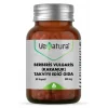 Venatura Berberis Vulgaris 60 Kapsül