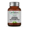 Venatura Lipozomal NMN 60 Kapsül