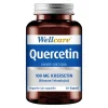 Wellcare Quercetin 60 Kapsül
