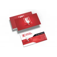 Eczane Kartvizit No:100 1000 Adet