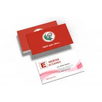 Eczane Kartvizit No:72 1000 Adet
