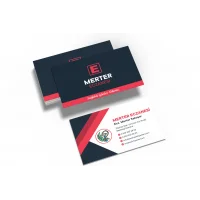 Eczane Kartvizit No:86 1000 Adet