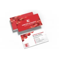 Eczane Kartvizit No:88 1000 Adet