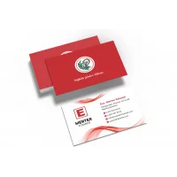 Eczane Kartvizit No:91 1000 Adet