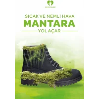 Mantar Afiş & Poster