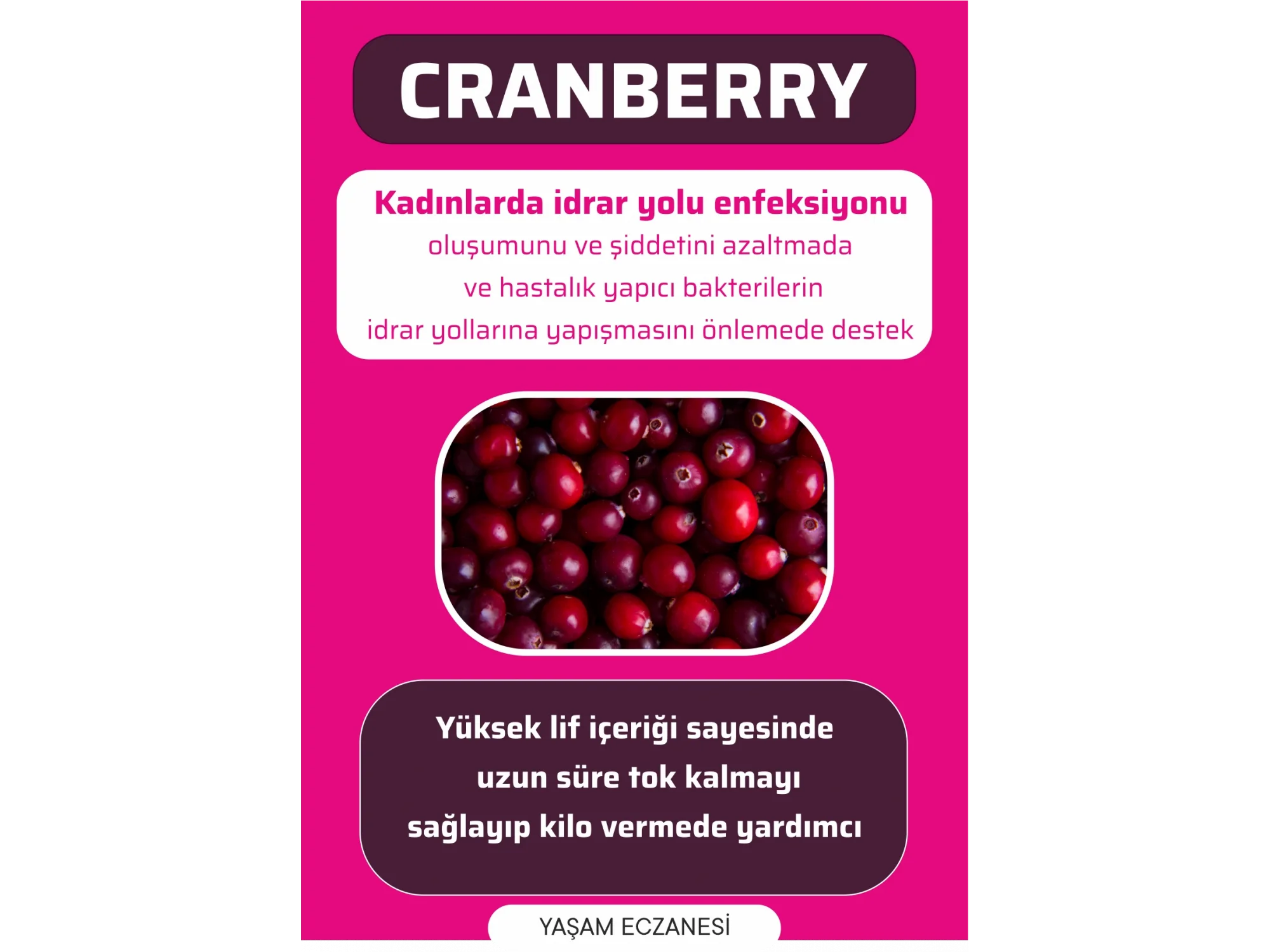 Cranberry Afiş & Poster