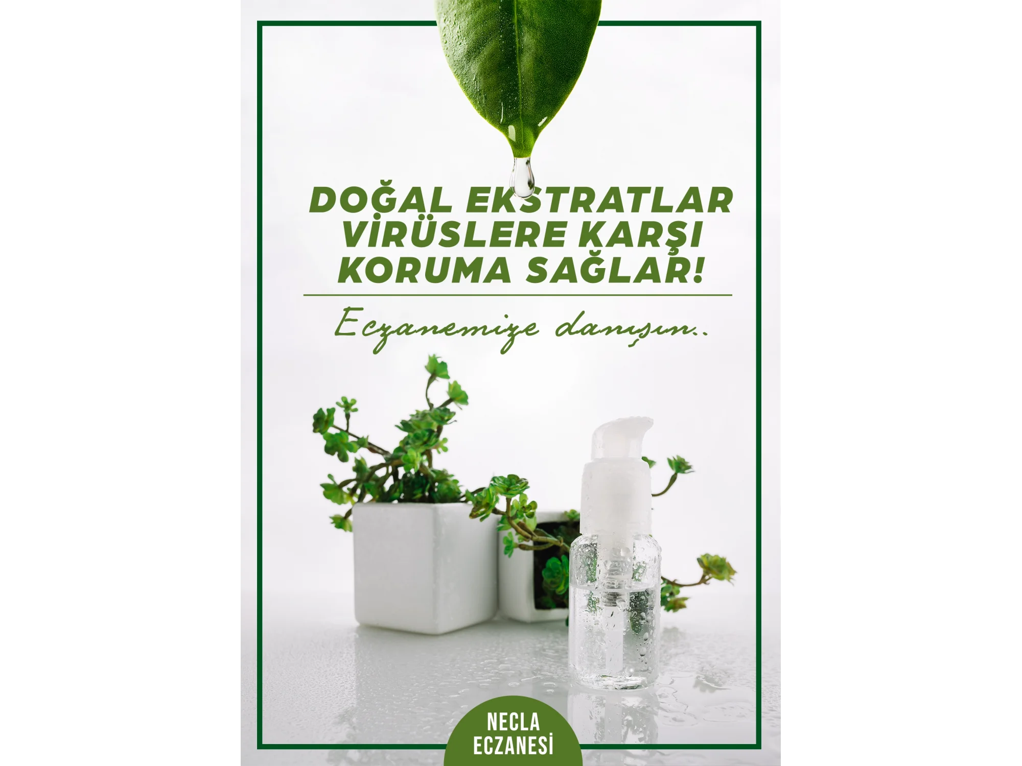 Doğal Ekstratlar Afiş & Poster