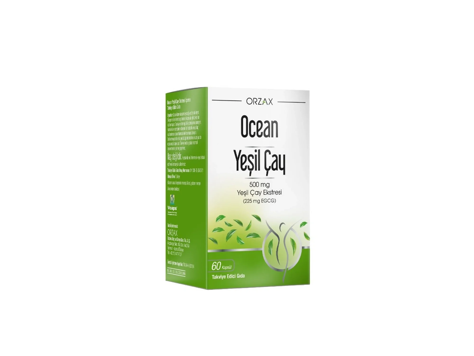 Ocean Yeşil Çay Ekstresi 60 Kapsül
