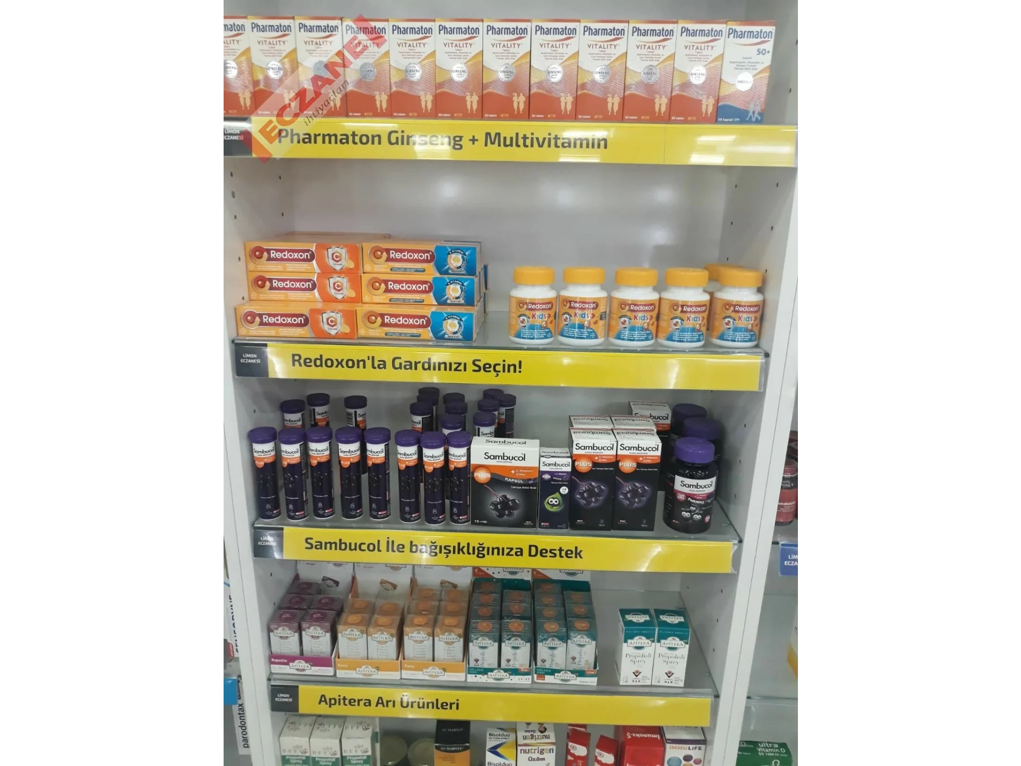 Raf Kategori Yazısı : Hastalıklara karşı direncinizi arttırın 50cm