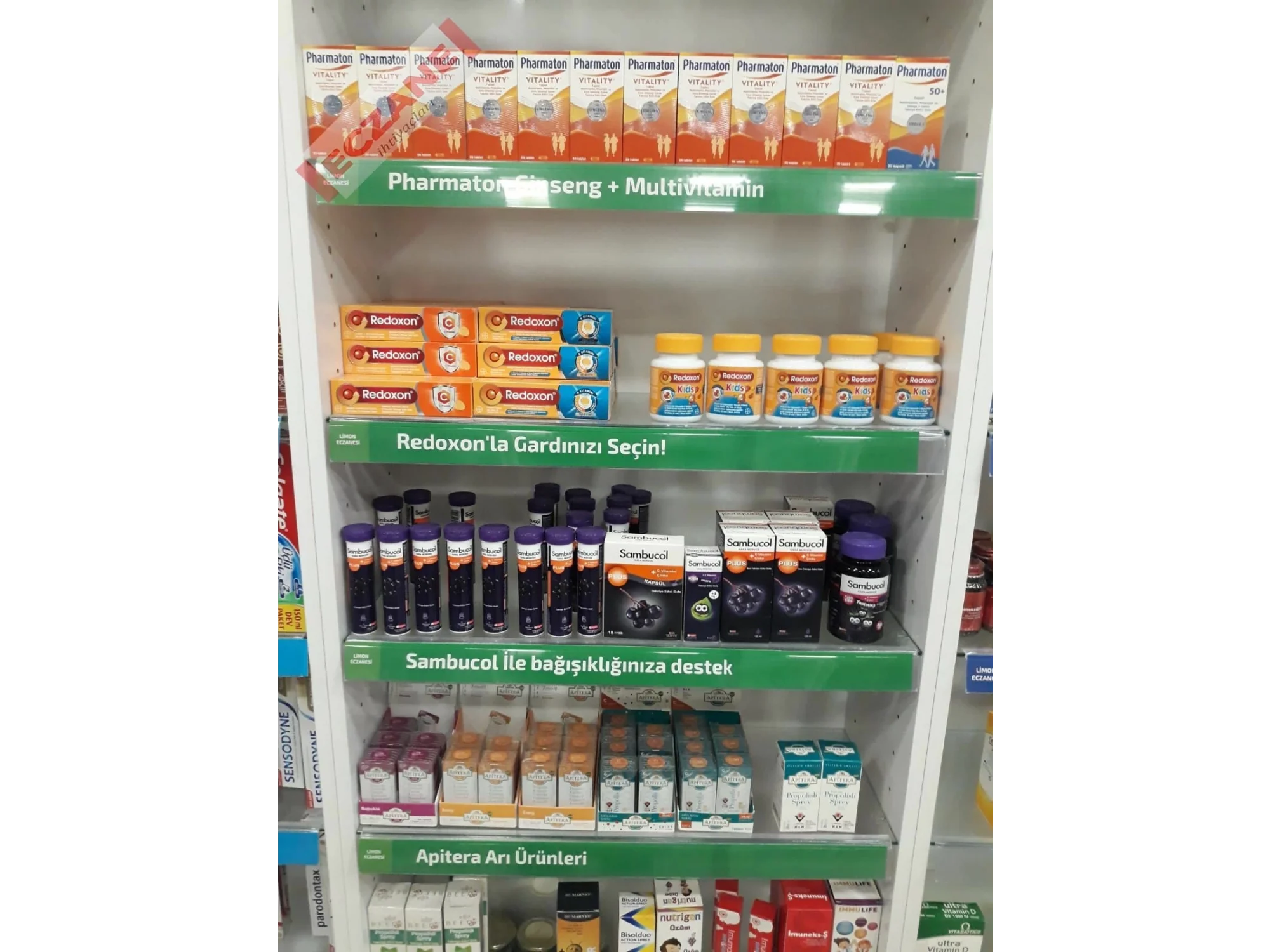 Raf Kategori Yazısı : Hastalıklara karşı direncinizi arttırın 50cm