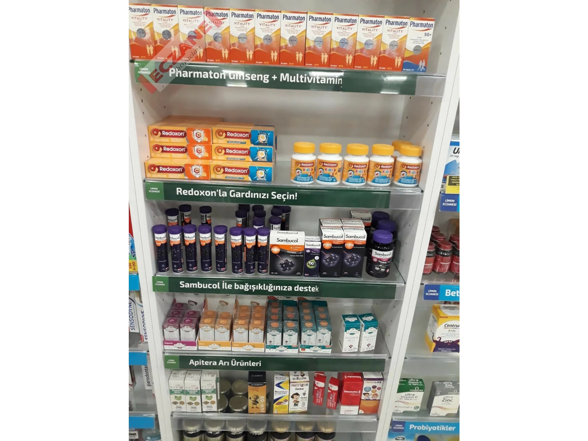 Raf Kategori Yazısı : Hastalıklara karşı direncinizi arttırın 50cm