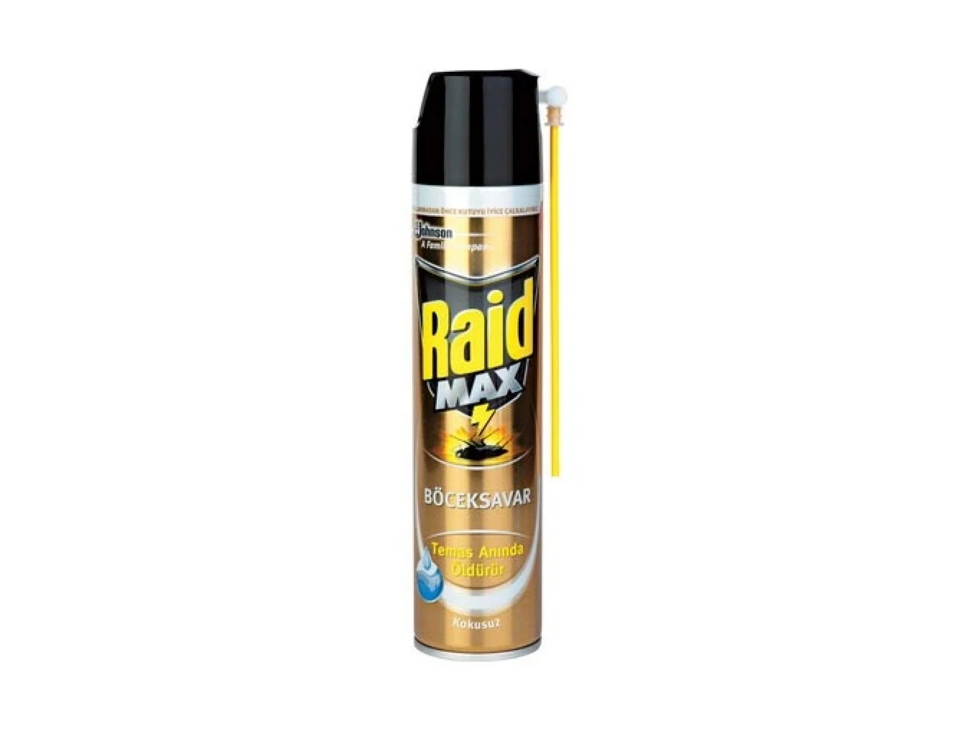 Raid Böcek Savar Max 300 ml