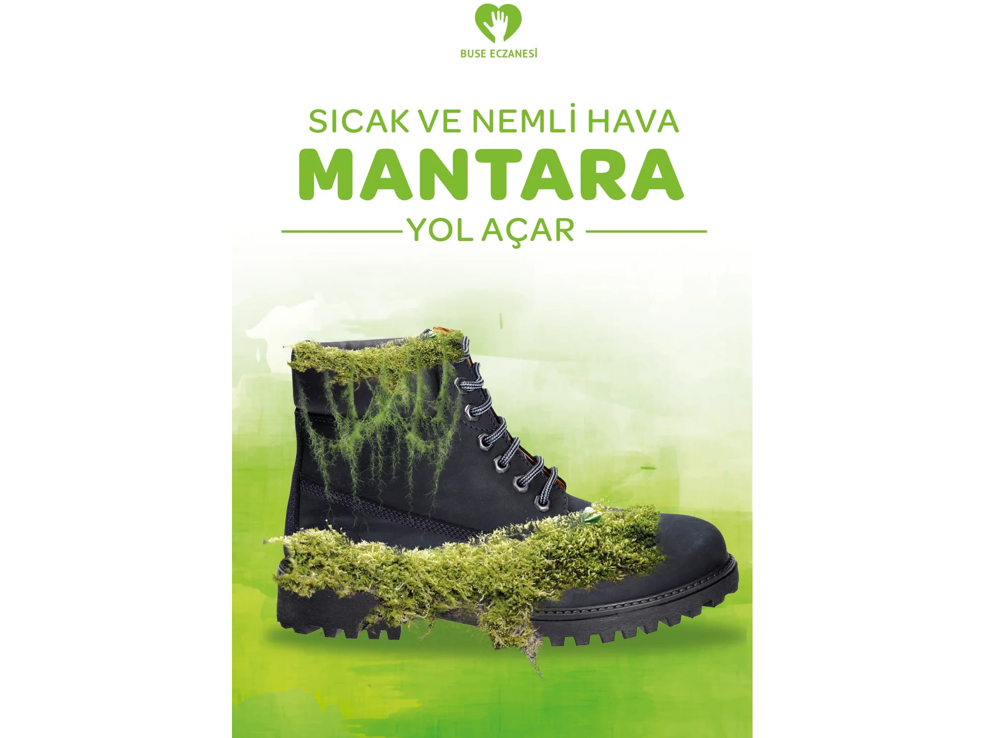 Mantar Afiş & Poster